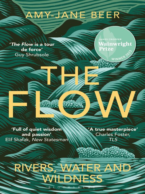 Title details for The Flow by Amy-Jane Beer - Available